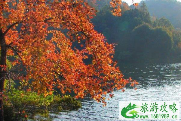 广东赏秋最好去处 广东适合秋游的地方 广东赏秋最好去处 广东适合秋游的地方