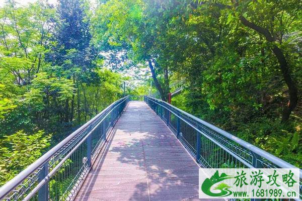 佛山祖庙附近有哪些景点 佛山祖庙附近有哪些景点