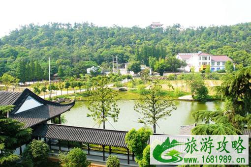 无锡山区哪里可以看银杏