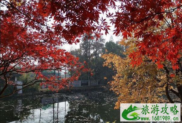 2021苏州天平山枫叶最佳观赏地
