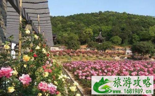 无锡龙寺生态园游玩攻略