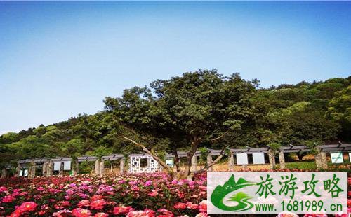 龙寺生态园采摘攻略