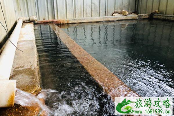 广东河源温泉存推荐 可以免费泡的温泉 广东河源温泉存推荐 可以免费泡的温泉