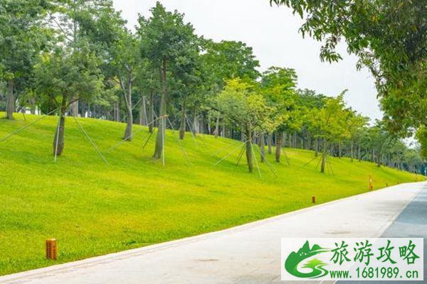 2021深圳莲花山草地音乐节取消现场观众席公告 2021深圳莲花山草地音乐节取消现场观众席公告