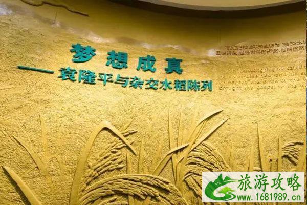 2021年11月10日起隆平水稻博物馆恢复正常开放