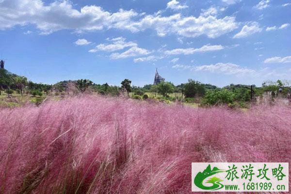 2021南宁园博园鹿园及粉色恐龙季活动游玩指南
