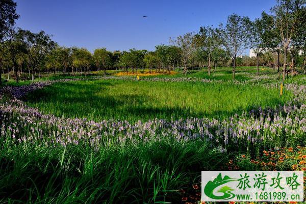 天津周边免费一日游最佳景点 天津周边免费一日游最佳景点