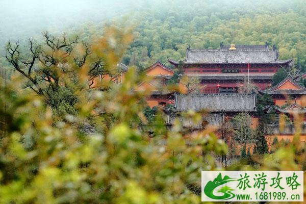黄柏山国家森林公园最详细游玩攻略
