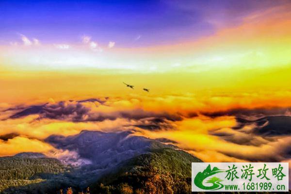 神龙架景区2021秋冬门票优惠