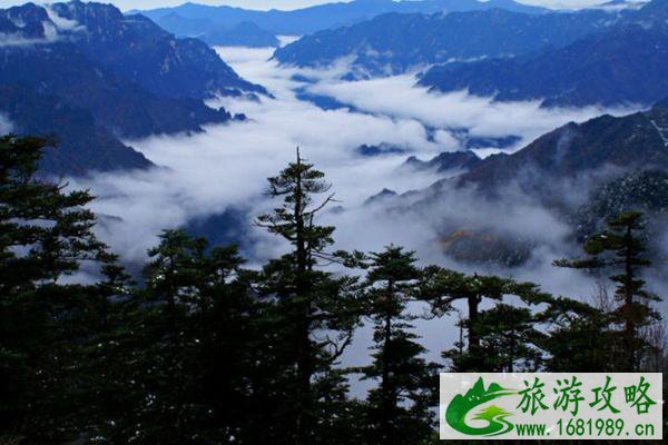 神龙架景区2021秋冬门票优惠