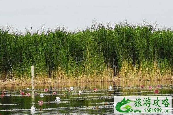 2021博斯腾湖大河口景区冬季闭园时间