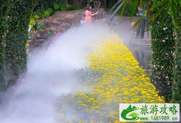 2021象山鹿岛菊花展时间-门票