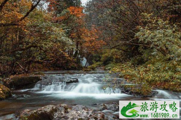 龙苍沟彩林最佳观赏时间 2021龙苍沟彩林节活动详情 龙苍沟彩林最佳观赏时间 2021龙苍沟彩林节活动详情