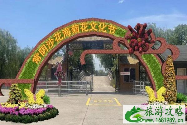 2021张家港常阴沙菊花展游玩攻略