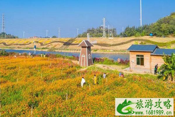 2021佛山秋天赏花有哪些好去处