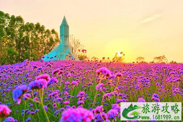 2021佛山秋天赏花有哪些好去处