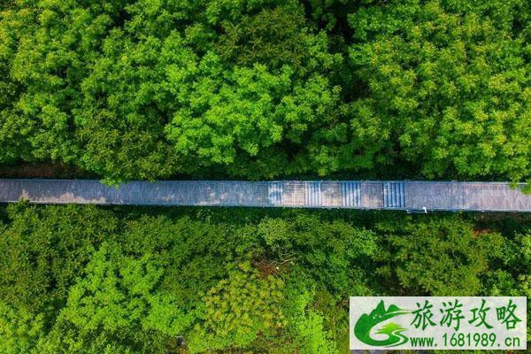 佛山顺德秋游景点推荐-游玩攻略 佛山顺德秋游景点推荐-游玩攻略