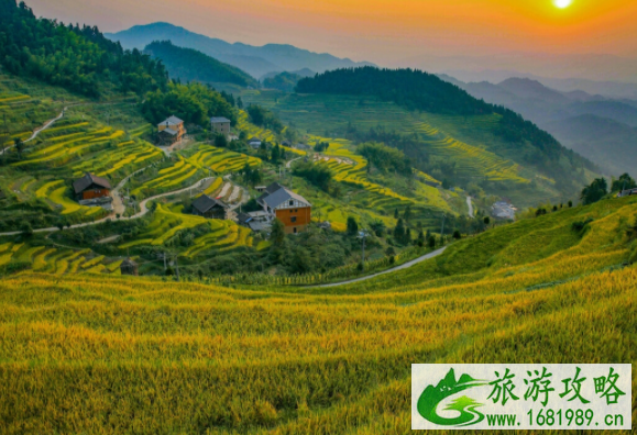 11月适合去哪里旅游国内旅游 推荐景点