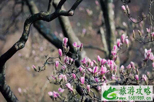 2021南通拍照打卡地点推荐