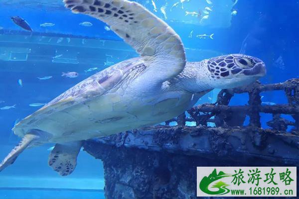 2021邯郸两日游适合去哪里 2021邯郸两日游适合去哪里