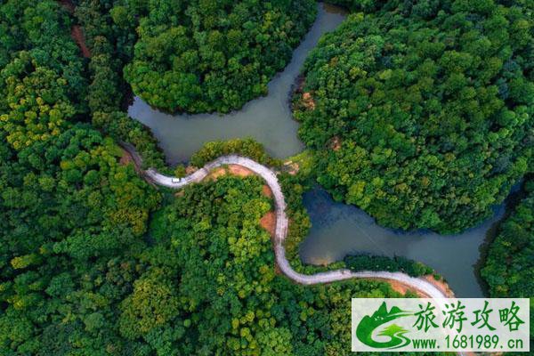 佛山森林公园游玩推荐 佛山森林公园游玩推荐