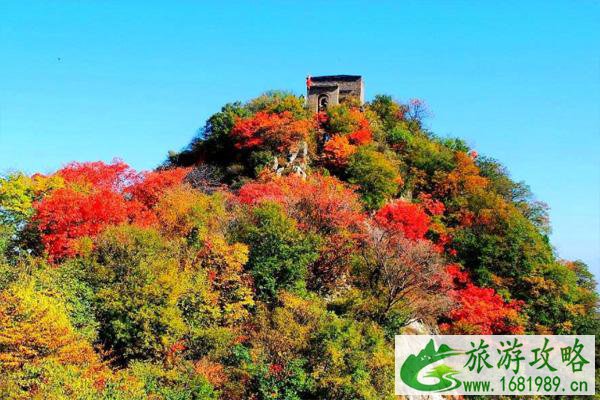 2021秦岭红叶最佳观赏时间 秦岭红叶季旅游线路推荐