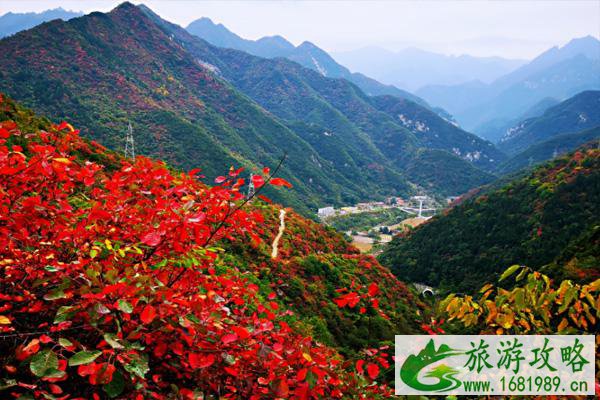 2021秦岭红叶最佳观赏时间 秦岭红叶季旅游线路推荐