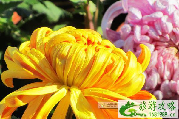 2021北京重阳节适合老人去的地方 2021北京重阳节适合老人去的地方