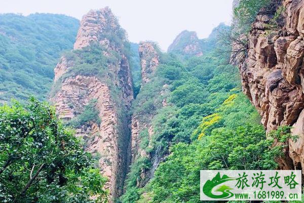 2021天津梨木台重阳节活动时间-内容