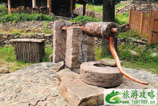 2021天津梨木台重阳节活动时间-内容