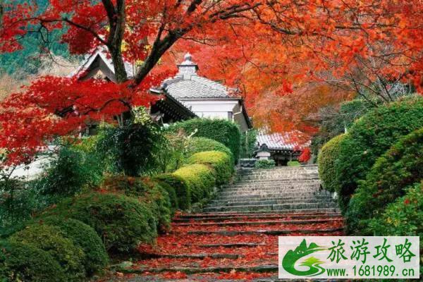 赏南京栖霞山枫叶最佳时间