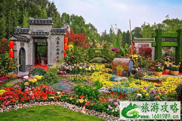 2021年无锡惠山菊花展开展时间及攻略