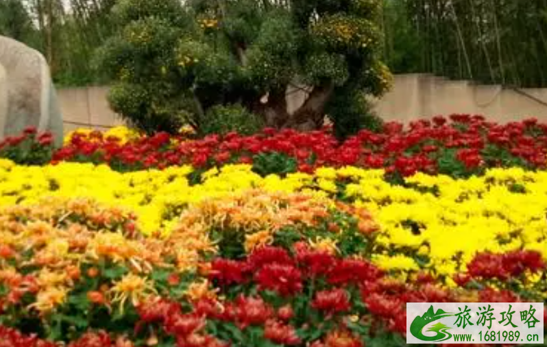 2021秦岭国家植物园花展开放了吗   2021秦岭国家植物园赏花时间