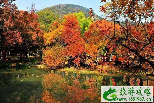2021北京八达岭红叶最佳观赏时间