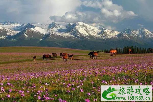 伊犁旅游必去的几个景点
