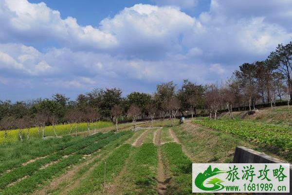 2021惠州永记生态园临时闭园9月 2021惠州永记生态园临时闭园9月