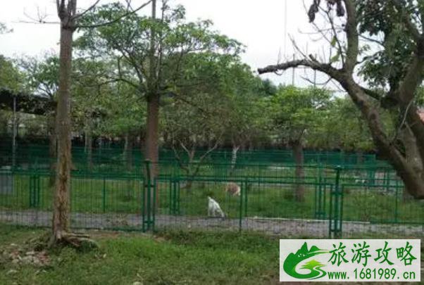 2021年惠州秋季采摘水果地方有哪些