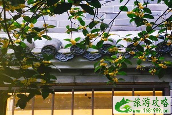 昙华林有哪些店铺可以逛