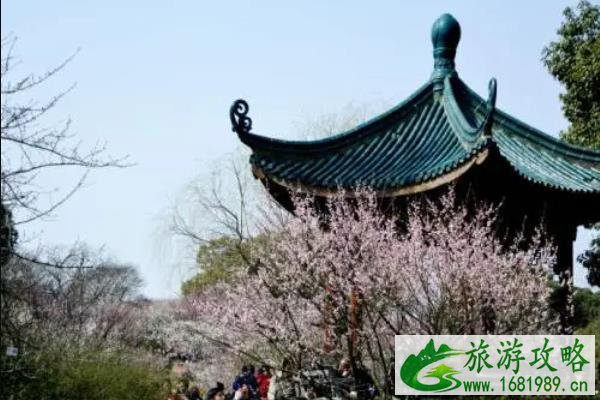 2021中秋无锡梅园百合文化节时间-地点