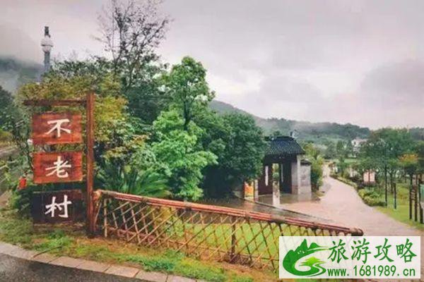 南京不老村开放了吗 南京不老村旅游攻略