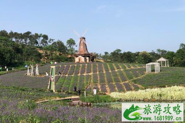 2021南京大塘金香草谷恢复开园时间
