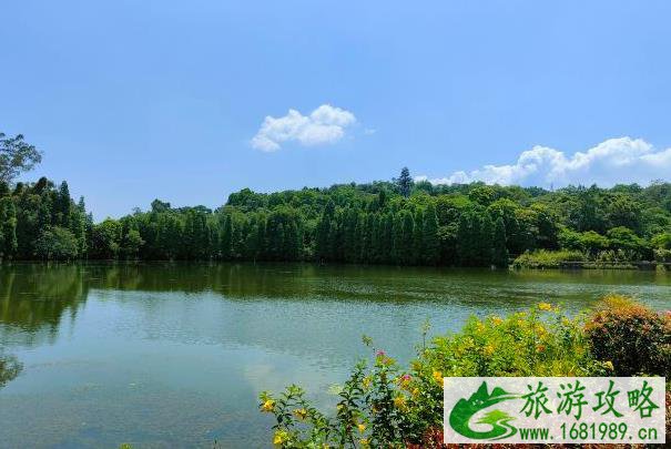 肇庆开心100星湖卡有哪些景区