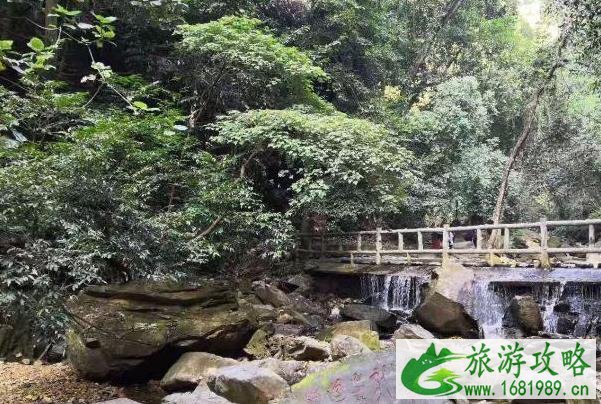 肇庆开心100星湖卡有哪些景区