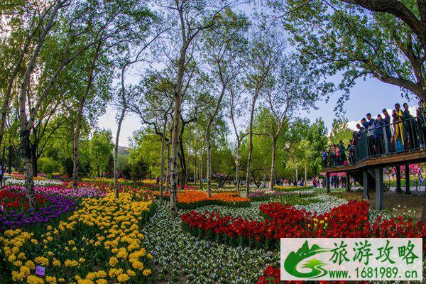受暴雨影响北京植物园临时闭园公告 受暴雨影响北京植物园临时闭园公告