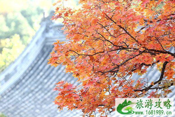 9月4日起北京香山公园临时闭园公告