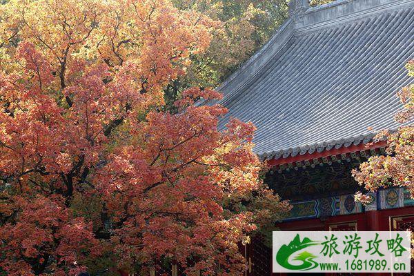 9月4日起北京香山公园临时闭园公告