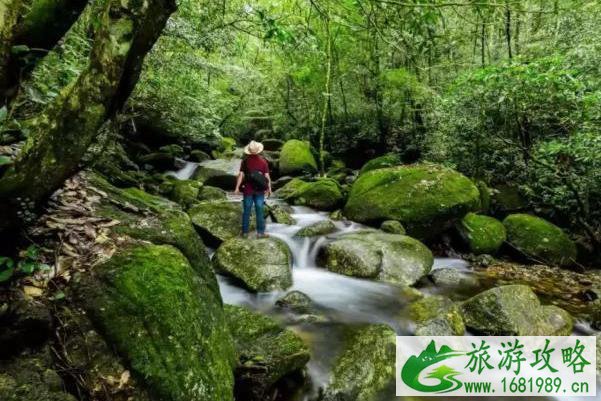 2021教师节茂名仙人洞活动时间 2021教师节茂名仙人洞活动时间