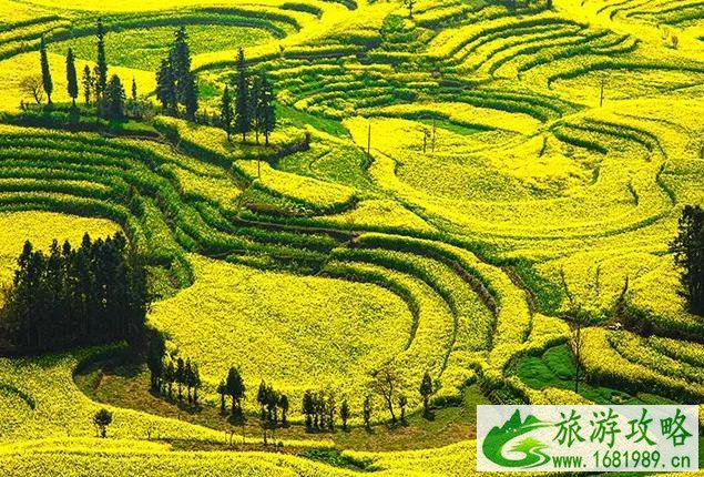 旅游之前需要做什么准备工作 旅游之前需要做什么准备工作