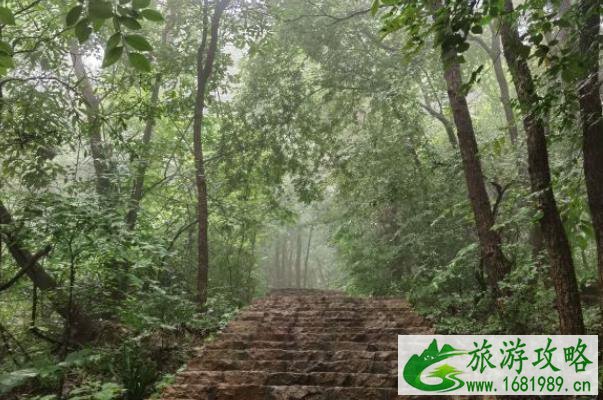 2021镇江市南山风景名胜区恢复开放时间 2021镇江市南山风景名胜区恢复开放时间