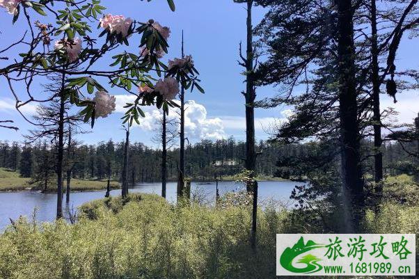 2021瓦屋山景区山顶环形通道暂停开放